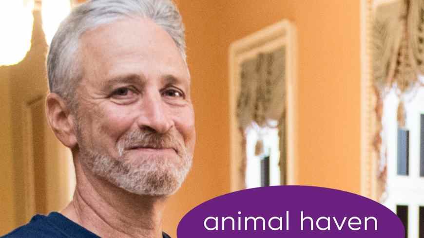 Jon Stewart Helps NYC Animal Shelter Raise $25K After Tearful Dog Tribute